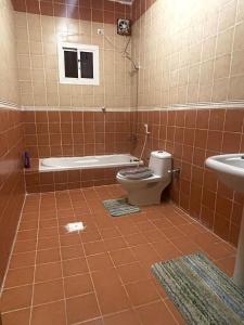 a bathroom with a toilet and a sink at شقة مفروشة حي الصفا in Al Wajh