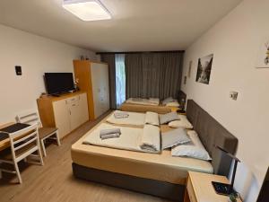 una camera con 2 letti, una scrivania e una TV di Apartma Vivo a Bovec