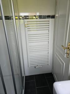ein Bad mit einer Dusche und einer Glastür in der Unterkunft Sylter Sonne, Alt Westerland in Westerland