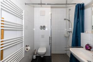 a bathroom with a shower and a toilet and a sink at Hotel zur Traube in Kühlungsborn