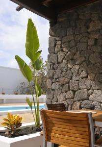 Una mesa y sillas con una planta frente a un muro de piedra. en Apartamento Lapa, en Tías