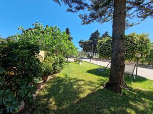 a park with a tree and a bench in the grass at Meraviglia d'Otranto in Otranto