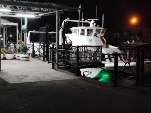 a boat is docked at a dock at night at Apartamento Danubio in El Puerto de Santa María