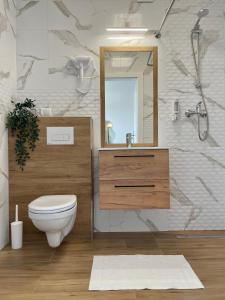 ein Badezimmer mit einem WC, einem Waschbecken und einem Spiegel in der Unterkunft Magurska Panorama 