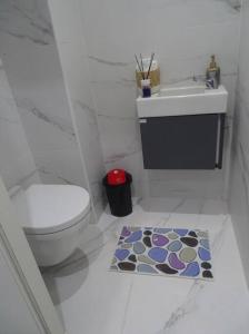 a bathroom with a toilet and a sink and a rug at La perle rare in Monastir +36 photos