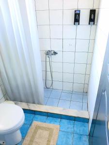 a bathroom with a shower with a toilet at Crystal Cherry Apartment in Preveza