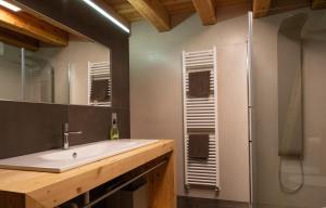 a bathroom with a sink and a shower at Maso Stella in Castello Tesino