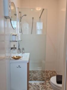 a bathroom with a shower and a sink and a toilet at Hotel 't Witte Huys Scheveningen in Scheveningen