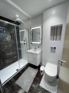 uma casa de banho com um chuveiro, um WC e um lavatório. em Studio Flat near wembley arena em Wealdstone
