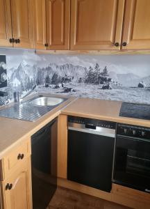 Η κουζίνα ή μικρή κουζίνα στο Apartment Bergliebe +6 φωτογραφίες