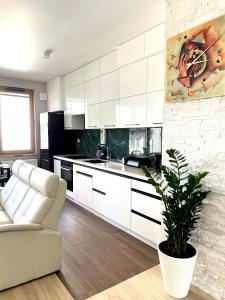 een keuken met witte kasten en een potplant bij Apartament Orawska in Krakau