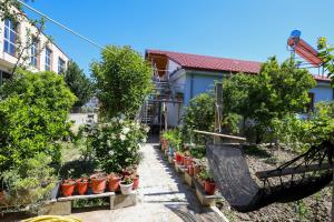 a hammock in a garden with potted plants at Samuela Cozy Retreat in Berat