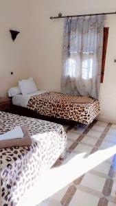 Cette chambre comprend deux lits et une fenêtre avec des rideaux. dans l'établissement TIRIKA Hôtel La Gazelle, à Zemmour Touirza