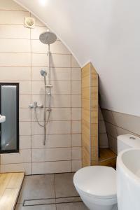 La salle de bains est pourvue d'une douche, de toilettes et d'un lavabo. dans l'établissement Studio77 maisonette, à Veliko Tarnovo