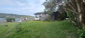 a horse is standing in front of a house at La puntilla in Compu