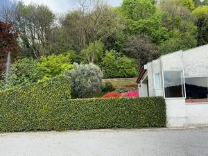 Zahrada ubytování Villa Rossini