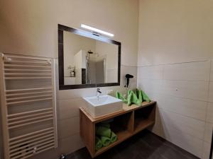 Ένα μπάνιο στο Apartment Lehen by Interhome