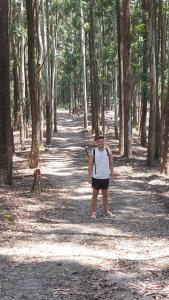 a person standing on a path in the woods at Rock n Fall Nature Resort in Ella