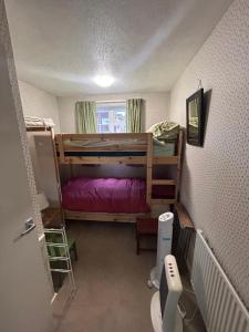 a small room with a bunk bed and a toilet at Number 10 in Chepstow