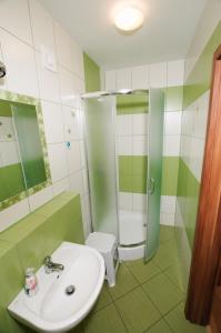 uma casa de banho verde e branca com lavatório e chuveiro em Dańczówka em Lewin Kłodzki