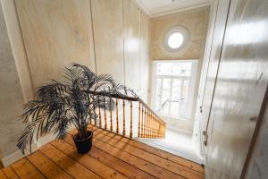 una escalera con una maceta en una habitación en Luxeverblijf B&B het Wevershuis, en Herentals