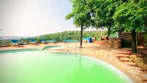 a large pool of water with blue chairs and trees at Cashew leaf resort in Arambol