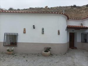 a white building with two potted plants in front of it at Cueva la Trapera in Benamaurel