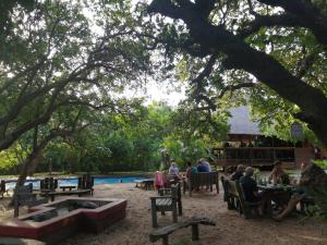 a group of people sitting at tables under trees at Utshwayelo Kosi Bay Mouth Lodge & Camp in Manguzi