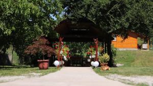 Una pasarela con un pabellón con flores en un parque en Casa Linistita, en Chişcău