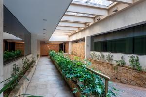 a hallway with plants on the side of a building at Hotel Pan Americano in São Paulo