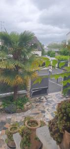a garden with a bench and a palm tree at CozyCube Paris in Vitry-sur-Seine