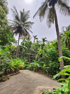 Billede fra billedgalleriet på Yellaki Farm Stay i Kanakapura