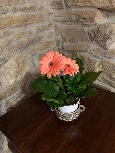 Φωτογραφία από το άλμπουμ του Casetta Ai Fiassoni στην Πάρμα