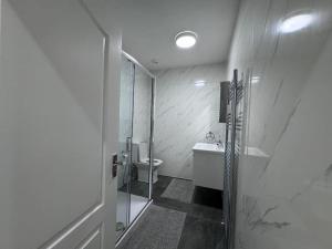 Elegant living, 3 bedroom modern house في لندن: حمام مع دش ومرحاض ومغسلة