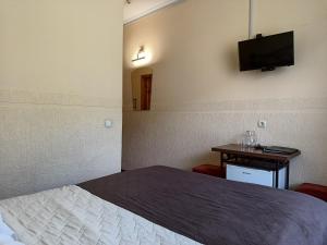 a hotel room with a bed and a tv on the wall at Girska Tysa Health Resort in Kvasy