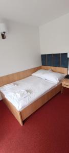 Cama grande en habitación con alfombra roja en Ski Hotel, en Piwniczna-Zdrój