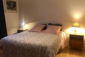 een slaapkamer met een groot bed met 2 lampen erop bij Jolie maison hyper centre de Châteauroux in Châteauroux