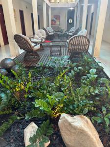 einen Garten mit Stühlen und Pflanzen in der Lobby in der Unterkunft San Felipe Hotel in Colinas do Tocantins