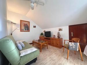 a living room with a green couch and a television at Betula Pendula - 12601 in Ajo