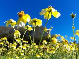 Gallery image of Nova Alofa holiday home in Monchique