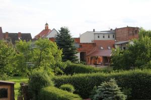 PeitzにあるFerienwohnung im Herzen von Peitzの庭園から市街の景色を望めます。