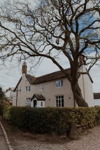 duży biały dom z drzewem przed nim w obiekcie The Fitz Farmhouse w mieście Swynnerton