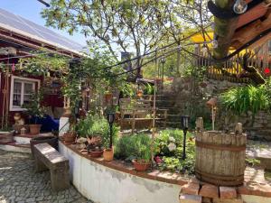 Giardino di Ferienwohnung Schreiner