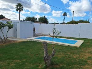 un pequeño árbol en un patio junto a una piscina en Casa vacacional en Chiclana de la Frontera, en Chiclana de la Frontera