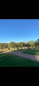 a road in a field with green grass and trees at Rustic Retreat: The Lodge Lurg Sanctuary in Upper Lurg