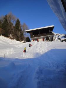 冬天的Chalet Engi Apt. 3 for up to 8 People