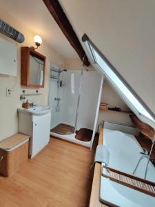 uma pequena casa de banho com um chuveiro e um lavatório. em Duplex 130 m2 avec terrasse à Sassor (Theux) em Theux
