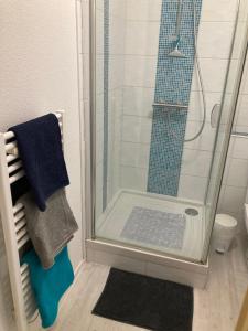 een douche met een glazen deur in de badkamer bij Appartement plage sables blancs in Douarnenez