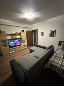 sala de estar con sofá y TV de pantalla plana en Renthouse Apartments - Feel Like Home, en Chişinău