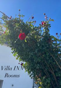 Eine rote Rose hängt von einem Gebäude in der Unterkunft Villa INN in Villaperuccio
